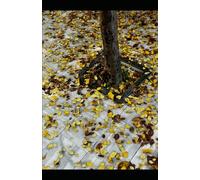 No Ground: A Surreal Plunge into the Unknown - Where Falling Never Ends