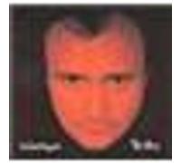 Collins, Phil - No Jacket Required