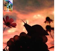 No Joy - Bugland LP [Vinyl]