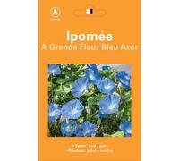 NO NAME-Graines de Ipomée à grande fleur bleu Azur - graines à semer