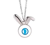 no/no amepolitics brief joe profile sketch lapin collier pendentif lapin animal bijoux cadeau