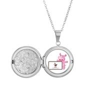 no/no Classification des déchets humides animaux médaillon collier tenir image bijoux cadeau d'anniversaire