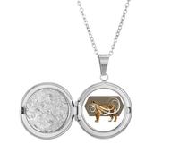 no/no Collier avec médaillon en forme d'ailes féroces de tigres félins, cadeau d'anniversaire