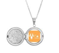 no/no Collier avec médaillon Fierce Boston Terrier Poop Problem Hold Picture Jewelry Cadeau d'anniversaire