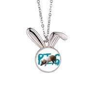 no/no Collier avec pendentif en forme de chat - Cadeau idéal pour l'écologie