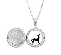 no/no Ferocious Ability Gods Animals Abroad Collier avec médaillon pour photo Cadeau d'anniversaire