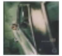 No One's Really Beautiful