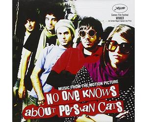 No One Knows About Persian Cats
