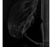 No One Knows How Wild The Wind Blows