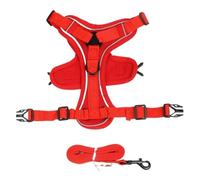 No Pull Dog Harness and Leash Set - Adjustable Pet Vest for Small Cats(Red,XL)