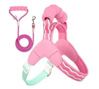 No Pull Dog Harness | Heavy Duty No Slip Thickened Padded Handle