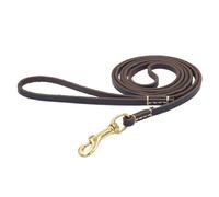 No Pull Rope, Dog Training Behavior Aid, Ergonomic Design Dog Safety Belt Car,155x0.6x0.1cm/61.02x0.24x0.04 inches Perfect for Walking and Training Medium-Sized Dogs