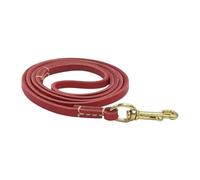 No Pull Rope, Dog Training Behavior Aid, Ergonomic Design Dog Safety Belt Car,155x0.6x0.1cm/61.02x0.24x0.04 inches Perfect for Walking and Training Medium-Sized Dogs