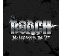No Reason in the Pit [Import allemand]