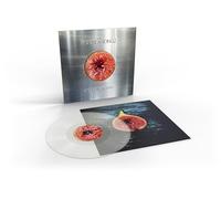 No Rocket Required – Rough Trade Distribution GmbH