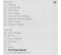 No Rules Sandy - Vinyle