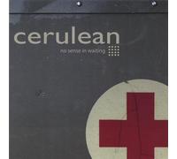 No Sense in Waiting [Import]