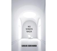 NO SOMOS NADA: Una historia sobre lo inevitable, lo que amamos y lo que seríamos capaces de hacer para no perderlo; entre la fe y el azar, el desamor ... cuando la vida te desnuda sin aviso