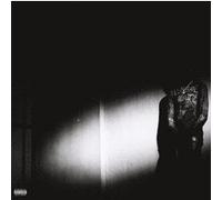 Destroy Lonely – No Stylist – Vinyle LP – Explicite