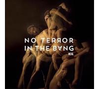 No terror in the bang - Heal