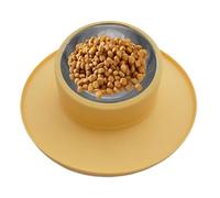No Tip Pet Bowl, Spill-Proof Cat Water Bowl, Non-Skid Pet Bowl, Silicone Bowl, Stainless Steel Pet Bowl, Non-Tip Dog Water Bowl, Pet Water and Food Bowl, Dog Feeding Bowl, Puppy Food Bowl