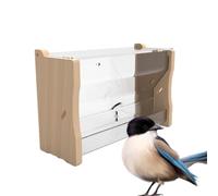 No Waste Quail Feeder,Duck Water Feeder Distributeur d'eau Récipient
