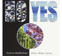 NO-YES Active Meditation to Detoxify the Body of Stress, Anger, and Sadness, and to Transform Negative Emotions into Inner Peace and Joy.