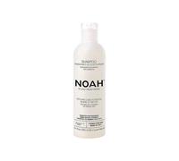 Noah Aceite De Argan Champu Regenerante 250 ml