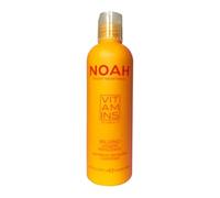 NOAH Après-shampoing revitalisant léger 250 ml - Formule sans silicone, sans paraben avec vitamine C et huiles actives nourrissantes pour des cheveux lisses et sans frisottis | Convient à tous les
