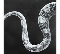 Noah Gundersen - Sentimental Kids