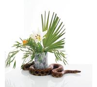 Noah Gundersen - White Noise [Vinyl] Download Insert