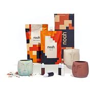 Noah kit resine Jesmonite & Terrazzo avec Silicone pour Moulage - Jesmonite kit Debutant (Forme de Visage/Couleurs Neutres)