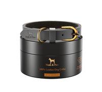 NOAH & PAW Collier M pour Chien, Cuir véritable Finition huilée cirée, Boucle métal Robuste, Coloris Mixte, Tour de Cou 14"-19" (Gris)