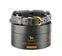 NOAH & PAW Collier S Chien, Cuir véritable avec paracorde, Boucle métal Robuste, Coloris Mixte, Tour de Cou 11"-15" (Gris)