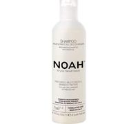Noah Shampooing Régénérant Huile d'Argan Hair 1.4 250ml