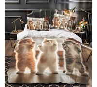 NOASDGYEI Guitare Acoustique Parure de Lit Microfibre Hypoallergique 3D Imprimée Léger Musique Country Housse de Couette Fermeture Éclair Douce Respirante for Enfants Garçons Filles Double（200x200cm）