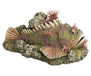 Nobby 28559 d'aquarium Pierre Poisson avec Plantes