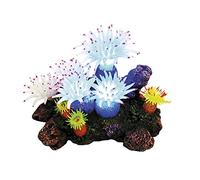 Nobby 28598 APLYSINA Décoration d'aquarium avec Fausse Plante LED 16 5 x 12 0 x 11 cm