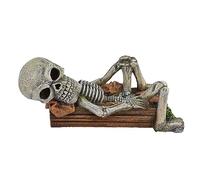 Nobby 28718 Décoration d'aquarium Squelette allongé 17 x 7,8 x 7,3 cm