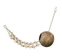 Nobby Maison en noix de coco avec échelle 65 cm