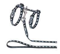 Nobby 53060-05 Scull Ensemble pour Chat Noir