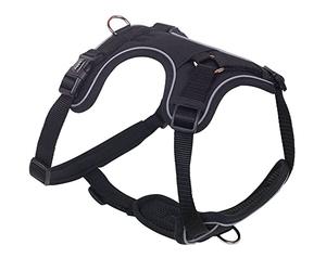 Nobby 80407-05 Harnais de Confort Mailo Noir Taille S M : Tour de Poitrine 30-45 cm, Ventre : 50-62 cm, Largeur : 20 mm