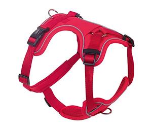 Nobby 80410-01 Harnais Mailo Rouge Taille XL Tour de Poitrine 50-70 cm Tour de Ventre 82-100 cm Largeur 25 mm