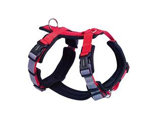 Nobby 80448-01 Daily Walk Comfort Harnais Rouge Taille S à M : Tour de Poitrine : 32-36 cm, Ventre : 48-65 cm