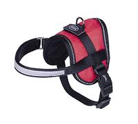 Nobby 80579-05 Mini Harnais Seguro Ventre, Noir