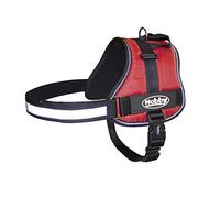 Nobby 80580-01 en Nylon Seguro Harnais, S/M, Rouge