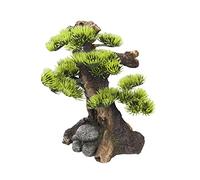 Nobby Aqua Ornaments Bonsaï