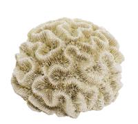 Nobby Aqua Ornaments Corail 15,5 x 14 x 8,5 cm