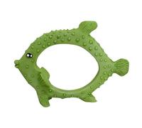 Nobby Aqua Ornaments Poisson 20 x 5,5 x 14,5 cm