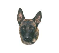 Nobby Autocollant de Malinois Lot de 2